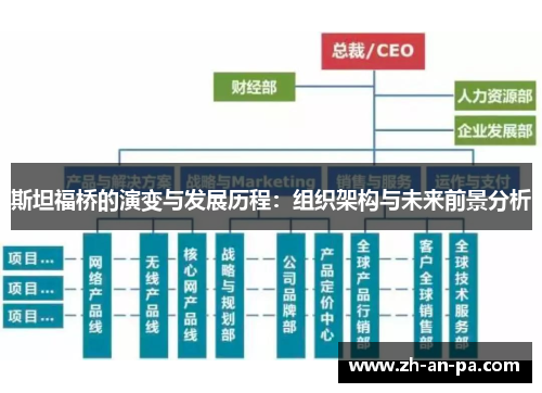 斯坦福桥的演变与发展历程：组织架构与未来前景分析