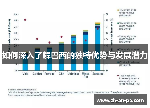 如何深入了解巴西的独特优势与发展潜力