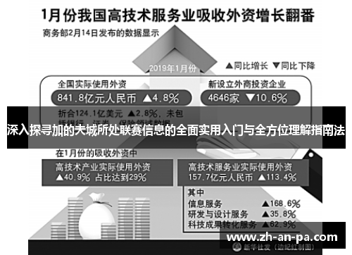 深入探寻加的夫城所处联赛信息的全面实用入门与全方位理解指南法