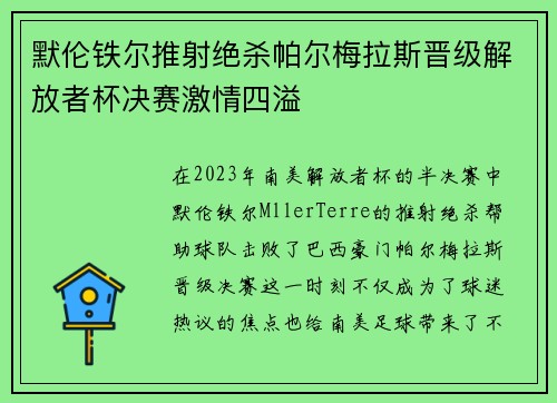 默伦铁尔推射绝杀帕尔梅拉斯晋级解放者杯决赛激情四溢 默伦铁尔推射绝杀帕尔梅拉斯晋级解放者杯决赛激情四溢